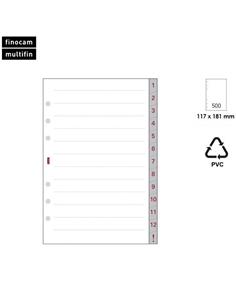 RECAMBIO AGENDA FINOCAM R572 INDICE 1-12