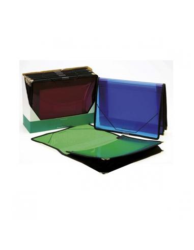 CARPETA PLASTICO GOMILLAS MANIFOL CA700 T.F.