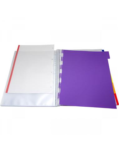 CARPETA CON FUNDAS GRAFOPLAS MAXIPLAS 30F A4 NATUR