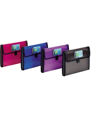 CARPETA CLASIFICADORA FOLDERMATE 154 A4 13D