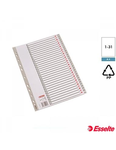 SEPARADOR ESSELTE A4 PP  1-31 GRIS