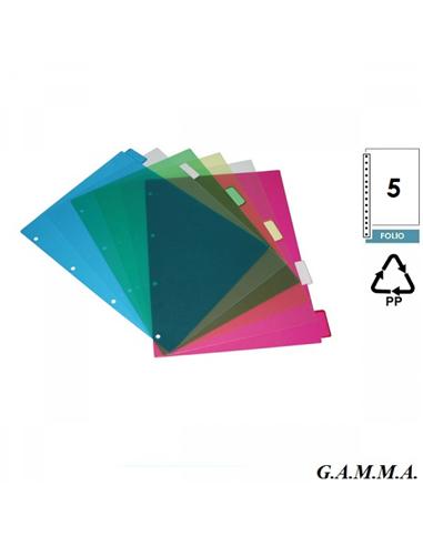 SEPARADOR GAMMA TF PP 5 COLORES TRANSLUCIDO
