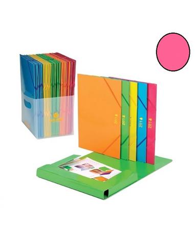 CARPETA CARTON GOMILLA CARCHIVO LUZ T.F. ROSA