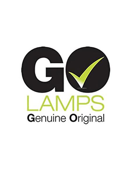 GO LAMP