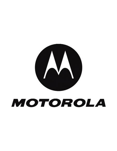 MOTOROLA